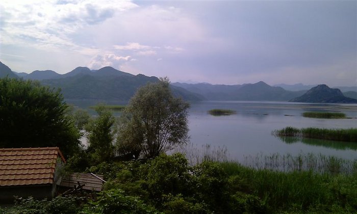 IMAG0404.jpg (71.84 Kio) Consulté 27344 fois IMAG0404.jpg