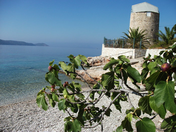 DSCF0271.JPG (2.62 Mio) Consulté 32616 fois DSCF0271.JPG