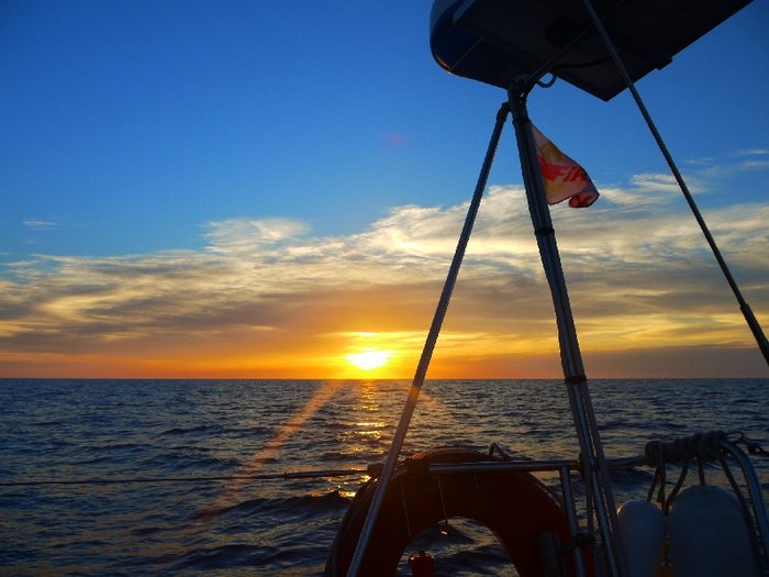 P1000931.JPG (361.09 Kio) Consulté 29252 fois P1000931.JPG