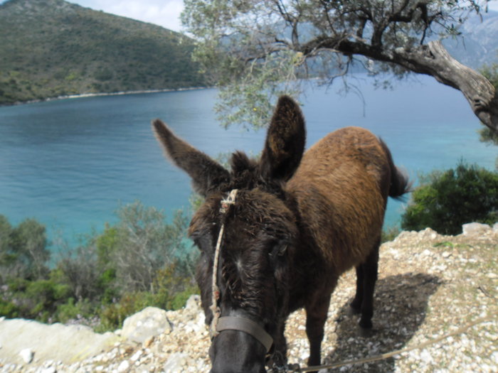 SAM_1472.JPG (2.8 Mio) Consulté 29728 fois SAM_1472.JPG