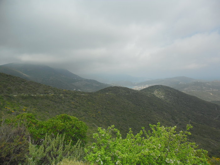 SAM_1396.JPG (2.66 Mio) Consulté 29728 fois SAM_1396.JPG