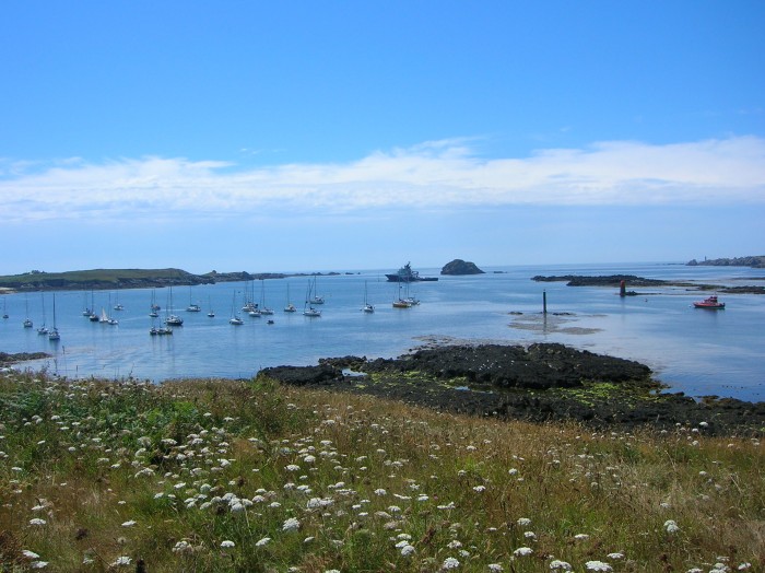 DSCN3100.jpg (695.85 Kio) Consulté 51049 fois DSCN3100.jpg