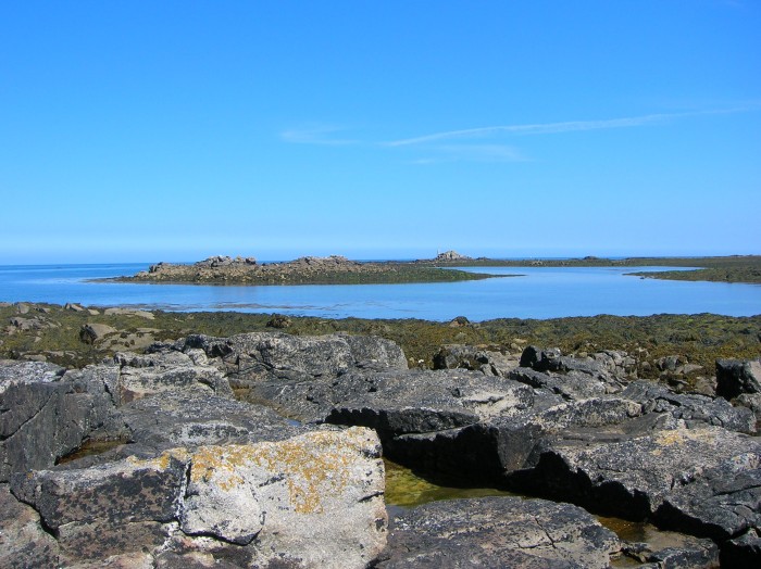 DSCN3069.jpg (709.56 Kio) Consulté 15055 fois DSCN3069.jpg