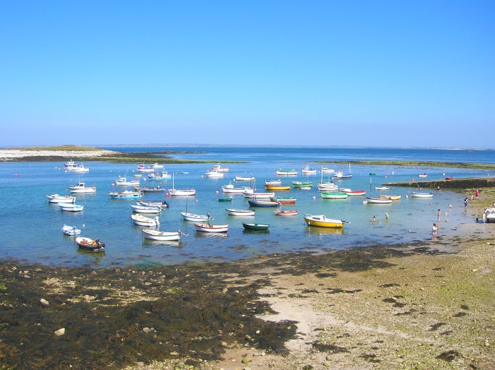 DSCN3074.jpg (712.42 Kio) Consulté 15055 fois DSCN3074.jpg