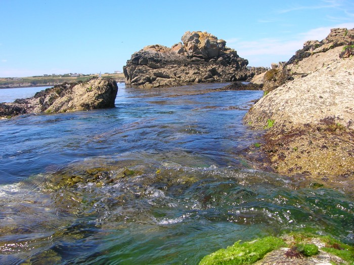 DSCN3106.jpg (783.67 Kio) Consulté 15028 fois DSCN3106.jpg