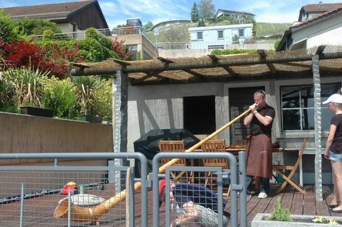 DSC_0413_800.jpg (268.81 Kio) Consulté 28184 fois DSC_0413_800.jpg