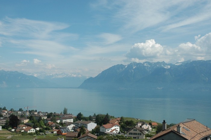 DSC_0419_800.jpg (145.19 Kio) Consulté 28184 fois DSC_0419_800.jpg