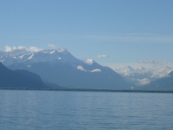 P1020551.JPG (604.62 Kio) Consulté 22347 fois P1020551.JPG