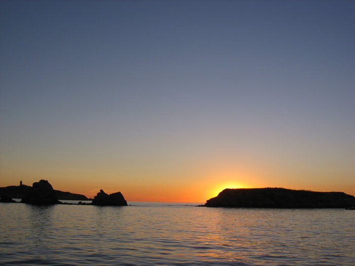 100824Calanques 041.jpg (1.07 Mio) Consulté 28221 fois 100824Calanques 041.jpg