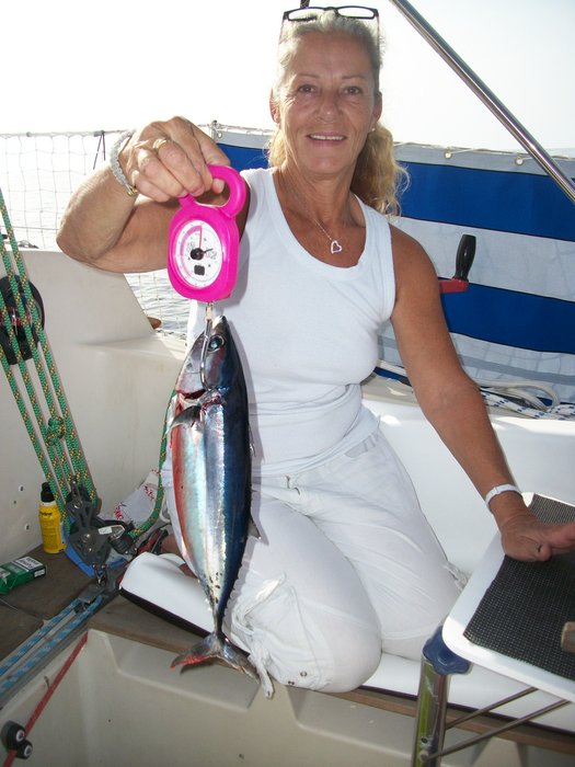 21 oct 2014 pêché un thon 900 grs !!!!! route vers PENICHE (12).JPG (449.3 Kio) Consulté 23664 fois notre 2ème pêche un thon !!!!! 900grs !!!