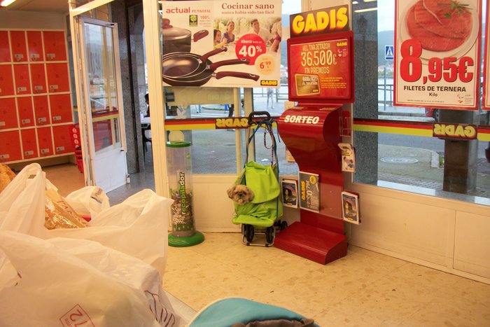 18 octobre 2014 visite de MUROS ( notre 4ème escale !!!) Espagne (6).JPG (2.14 Mio) Consulté 23664 fois interdit aux chiens ds les magasins !!! on a trouvé la solution !!!!!!!!!