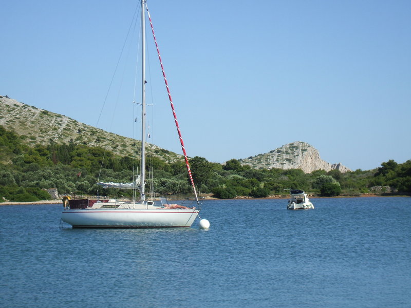 DSCF0378.JPG (3.28 Mio) Consulté 29514 fois DSCF0378.JPG