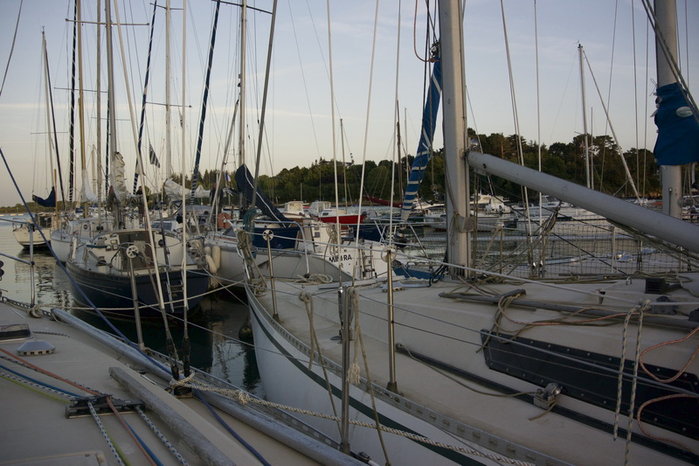 Kentan, Kedalach, Nefertiti.jpg (175.63 Kio) Consulté 30371 fois Kentan, Kedalach, Nefertiti.jpg