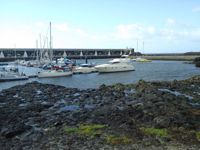 20151016_101238.jpg (1.13 Mio) Consulté 23736 fois Daltica à La Restinga