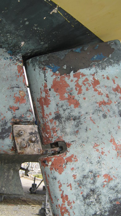 IMG_3978.JPG (2.34 Mio) Consulté 29369 fois crapaudine delph32