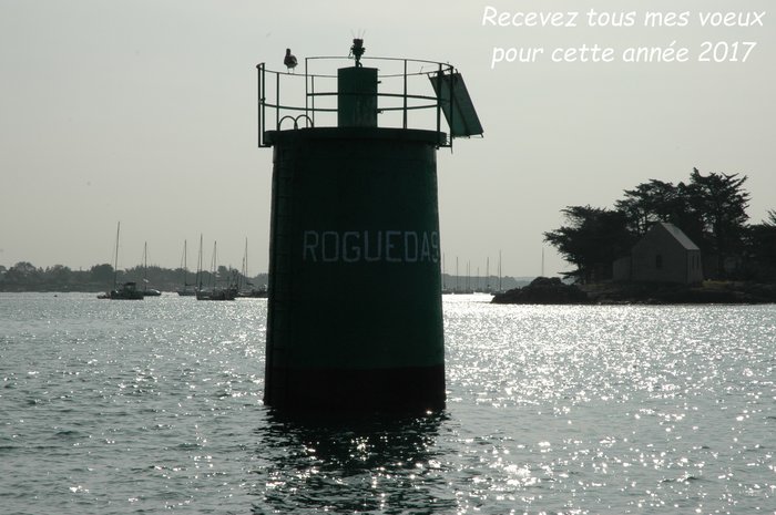 Voeux_2017.JPG (636.02 Kio) Consulté 35689 fois Voeux_2017.JPG