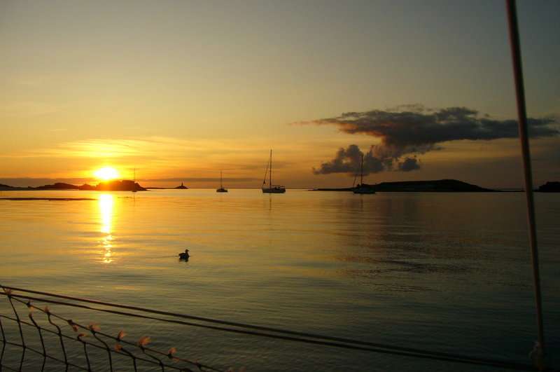 P1060627.JPG (512.96 Kio) Consulté 17902 fois P1060627.JPG