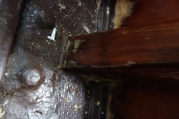 Epontille pied_1.JPG (3.27 Mio) Consulté 33087 fois Epontille pied_1.JPG