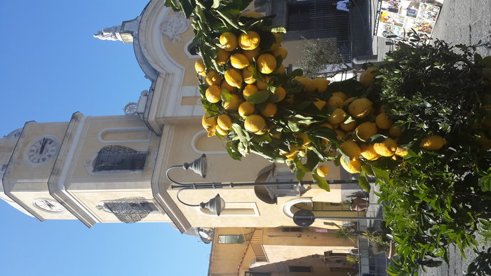 20170414_151608.jpg (3.7 Mio) Consulté 35670 fois Les citrons de Procida