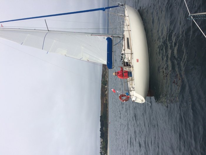 IMG_3796.jpg (1.69 Mio) Consulté 36449 fois IMG_3796.jpg