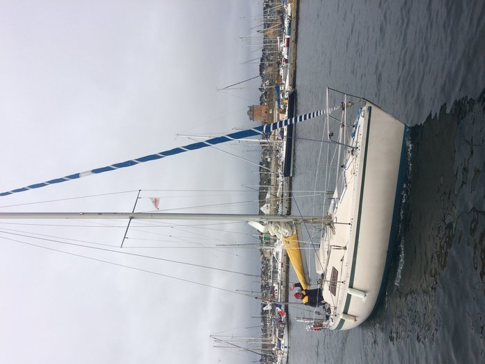 IMG_3811.jpg (1.79 Mio) Consulté 36449 fois IMG_3811.jpg