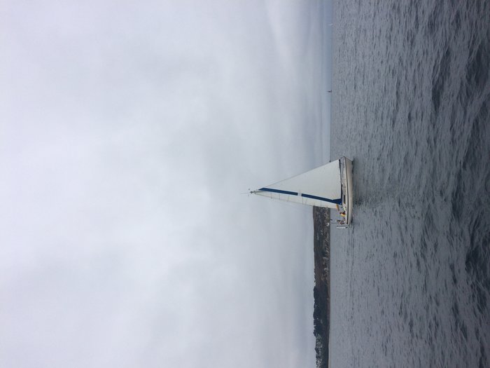 IMG_3818.jpg (1.44 Mio) Consulté 36449 fois IMG_3818.jpg