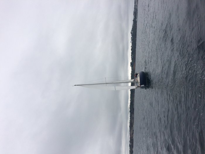 IMG_3821.jpg (1.52 Mio) Consulté 36449 fois IMG_3821.jpg