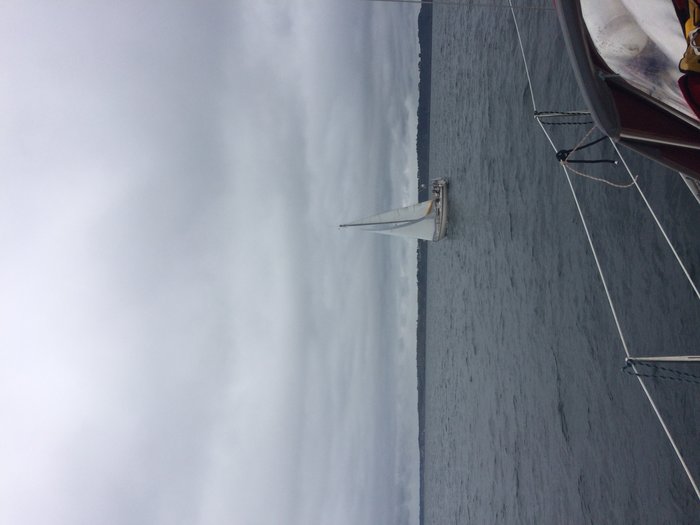 IMG_3824.jpg (1.44 Mio) Consulté 36449 fois IMG_3824.jpg