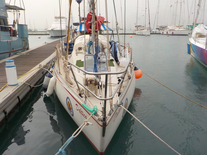 22 déc 2017 MINDELO (18).JPG (6.31 Mio) Consulté 51882 fois 22 déc 2017 MINDELO (18).JPG