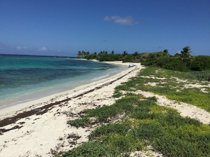 IMG_2808.JPG (2.97 Mio) Consulté 31894 fois IMG_2808.JPG