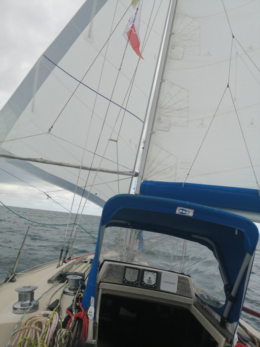 IMG_20220628_114839.jpg (644.64 Kio) Consulté 10273 fois IMG_20220628_114839.jpg