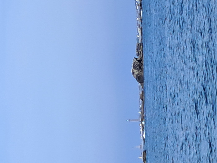 20250520_122755.jpg