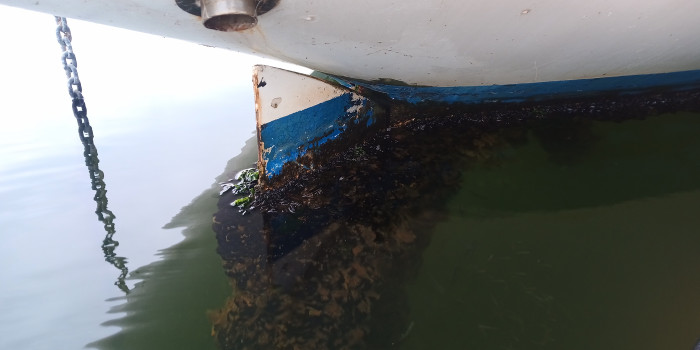 IMG_20250928_150557_0.jpg (1.16 Mio) Consulté 6833 fois IMG_20250928_150557_0.jpg