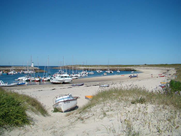 DSC05291.JPG (1.14 Mio) Consulté 30743 fois DSC05291.JPG