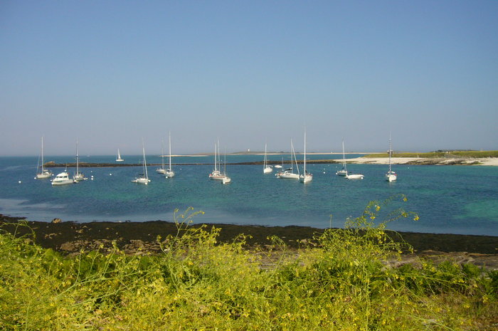 P1080143.JPG (615.25 Kio) Consulté 20169 fois P1080143.JPG