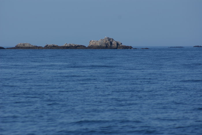 DSC00672.JPG (2.16 Mio) Consulté 25174 fois DSC00672.JPG