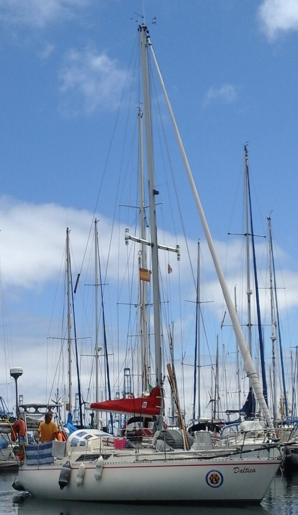 CapVert Daltica First30